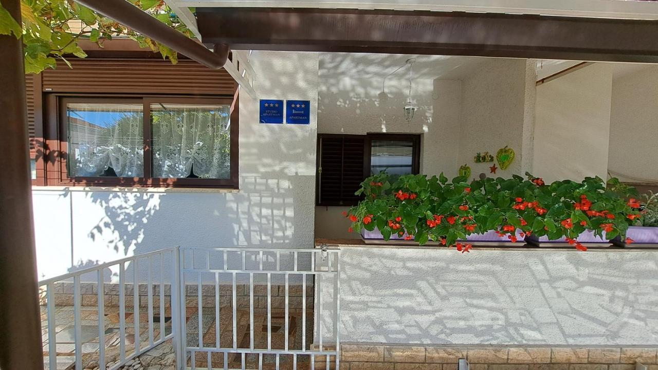 Apartments Anic Novigrad Istria Exteriér fotografie